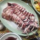 더놀자PC 이미지