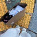 영양여자고등학교 | 이런 내 변덕마저도 사랑할 수 있나요?