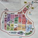 코스모스농원 | 가을 꽃놀이 양주 나리농원 천일홍축제 feat.핑크뮬리, 댑싸리, 아스타, 코스모스, 가우라 억새 등등