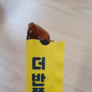 빈츠