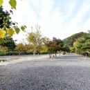 솔바람캠핑장 이미지