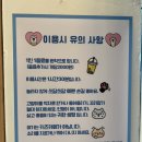 오묘 고양이카페호텔미용 이미지