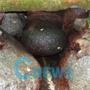 관음사약수터 이미지