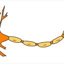 함신경외과의원 이미지