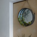 백일노모당 | 어느 맑은 봄날 산책, 동네한바퀴 (feat. 명주원숭이나무 &amp; 백철쭉)