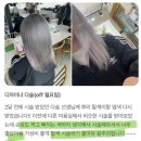 동교동 헤어샵 파스텔핑크에서 애쉬그레이까지 탈색맛집 후기!