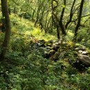 草亭新居 ㅡ 하일리 언덕에서 부르는 옛 시와 나루재의 야생토끼 이미지