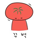 목포갈매기 이미지
