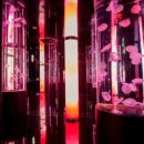 오리엔탈렌터카(주) 이미지