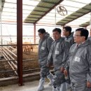 금성에너지태양광발전소 이미지