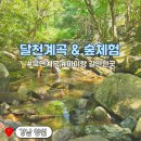 달천 | 창원 달천계곡 아이랑 방문 솔직후기 (장단점 3가지)