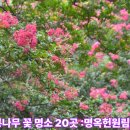 마산면경계~해남교차로 | 전남 배롱나무 꽃 명소 20곳 :명옥헌원림,송백정..