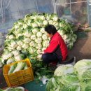 여사님PC 이미지