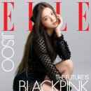 아모르데이A