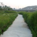 창릉천수변공원 Daum카페