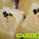 쌀 1 kg 생산 하는데 쓰이는 물의 양은 ? 이미지