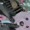 스타일세차장 이미지