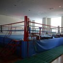 엘리트복싱체육관 이미지