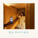 하비리조트 | 청도 수영장 있는 글램핑장 하비리조트 럭셔리 글램핑 솔직 후기