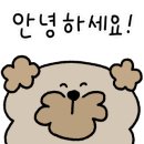 포항 더리브풀빌라3 이미지