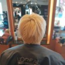 수아리빙 이미지