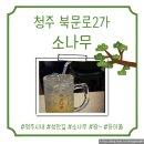 소나무다이어트 | [청주 북문로2가 소나무] 청주 시내 술집, 분위기 좋은 술집 솔직후기