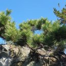 오늘, 제주 이미지