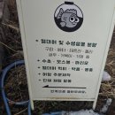 물애정원수족관 | 물생활[물애정원]수족관, 열대어, 수생생물, 구피분양, 크리스티드 게코, 애완도마뱀 분양, 전주 송천동...