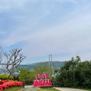 장생포초등학교병설유치원 이미지