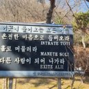 자루 이미지