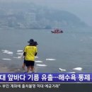 해운대에 올라 이미지