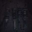 수원-0242 이미지