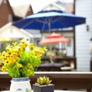 앵두펜션 이미지