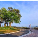 적금공원 이미지