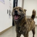 난우중학교 이미지