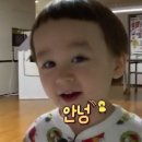 정 타코야끼
