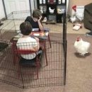 I Was a Fool 이미지