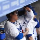 엠(M) 메이저 이미지