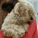 개네엄마 이미지