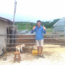 금란농장 이미지