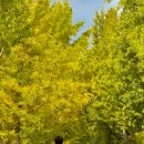 여주-1087 이미지