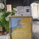 썸머 페스티벌 | 수원_스드메 토탈샵_브라이덜휘 계약후기(+썸머 페스티벌)