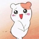 다비네일