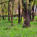 그린펜션 간이화장실 이미지