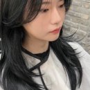 콘크리트301 이미지
