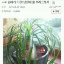 빵재미 이미지