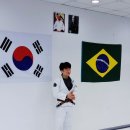 페로자주짓수