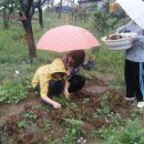 오월농장 이미지