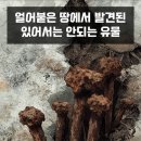 우주짐 이미지