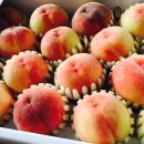 소라농장 이미지